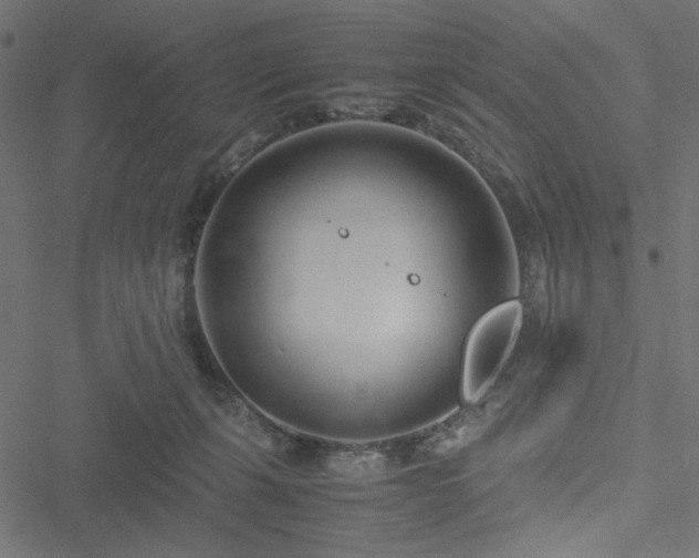 X0000051250271200506171143