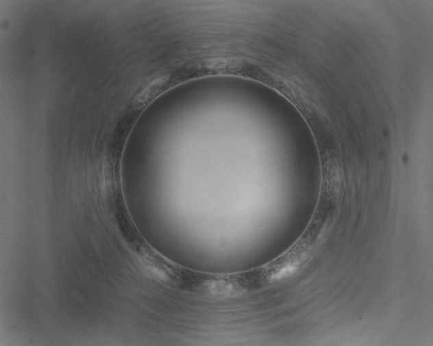 X0000051250272200506171143