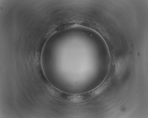 X0000051250273200506171143