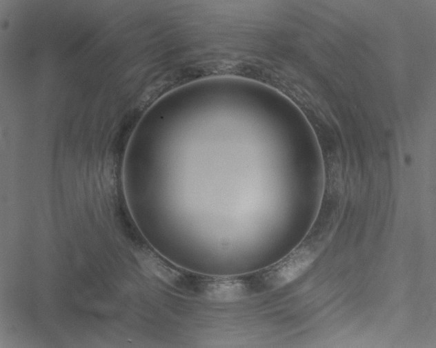 X0000051250274200506171143