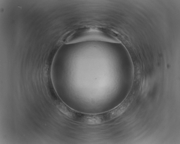 X0000051250275200506171143