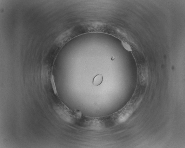 X0000051250276200506171143