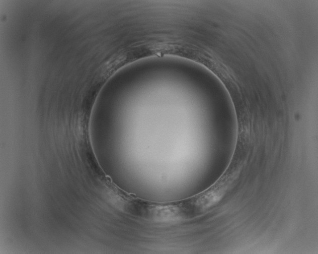 X0000051250277200506171143