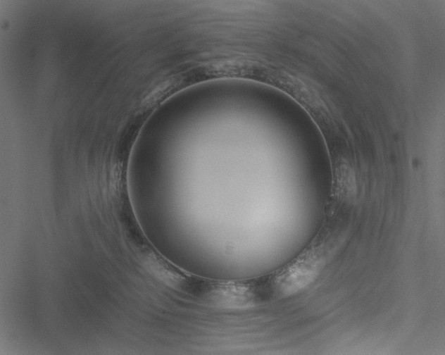 X0000051250278200506171143