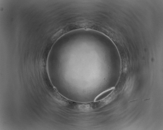 X0000051250279200506171143