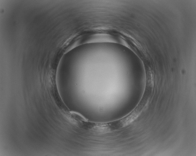 X0000051250280200506171143