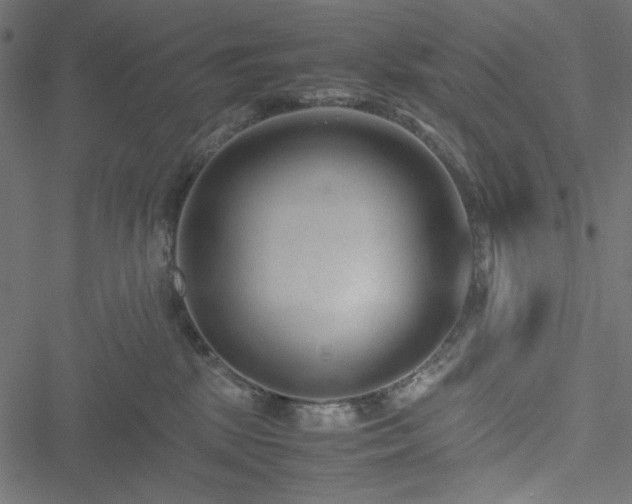 X0000051250281200506171143