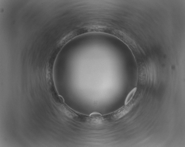 X0000051250282200506171143