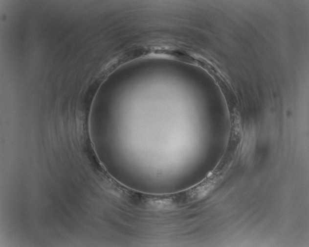 X0000051250283200506171143