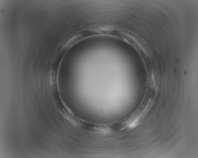 X0000051250284200506171143