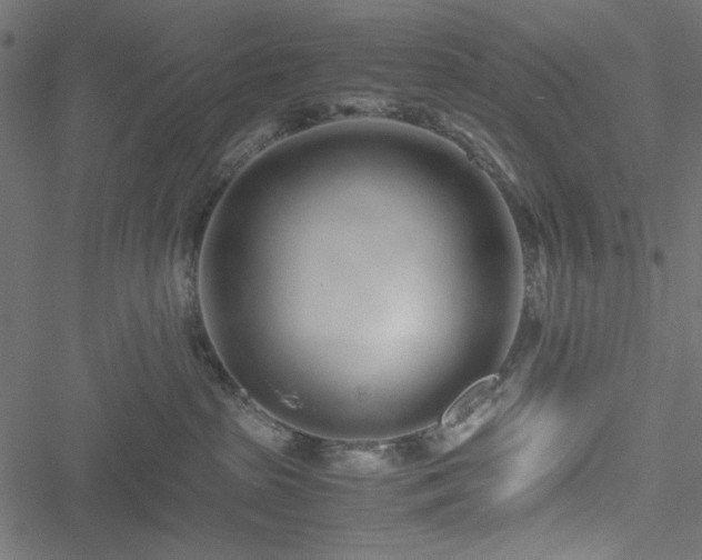 X0000051250285200506171143