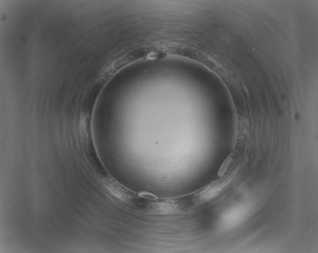 X0000051250286200506171143