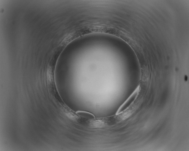 X0000051250287200506171143