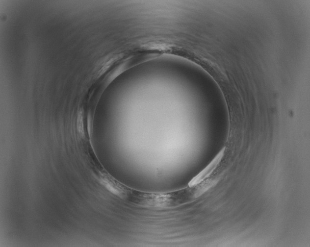 X0000051250288200506171143