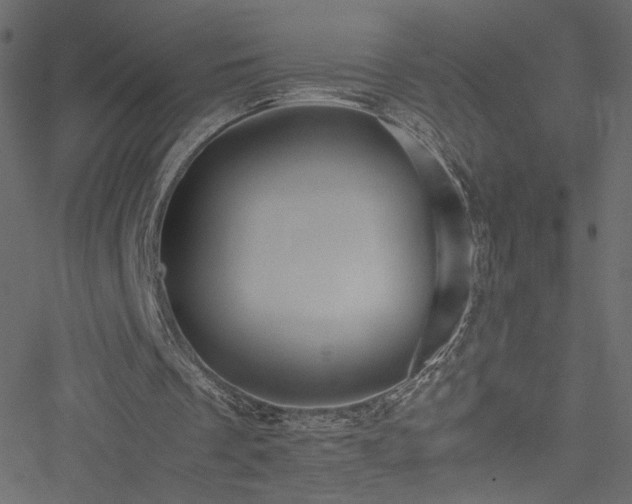 X0000051250289200506171143