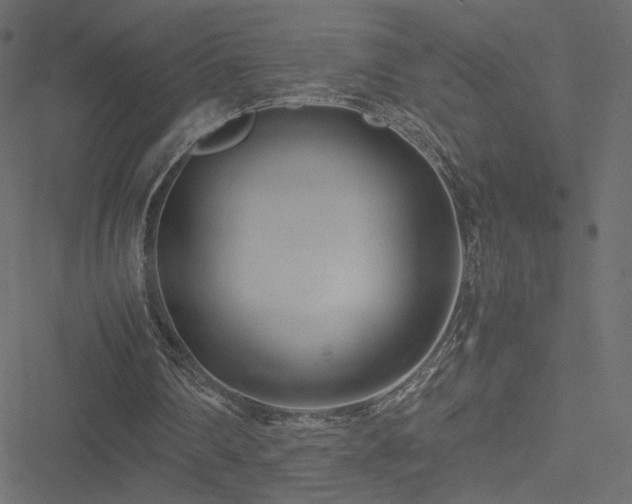 X0000051250290200506171143