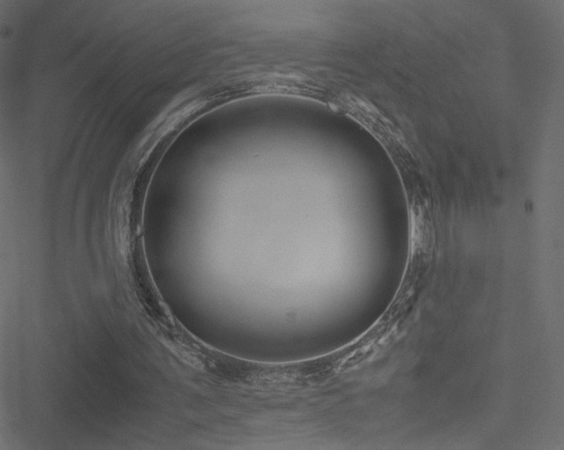 X0000051250291200506171143