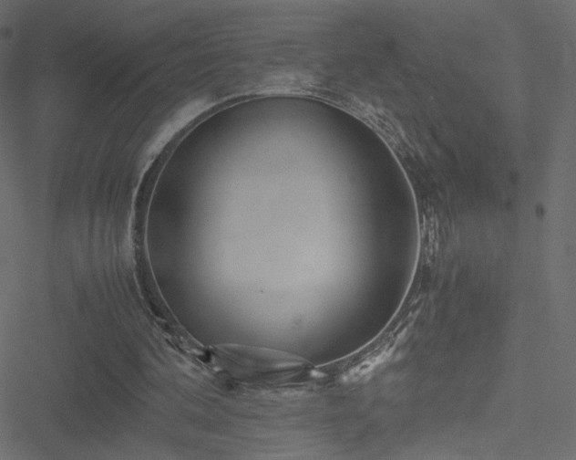 X0000051250292200506171143