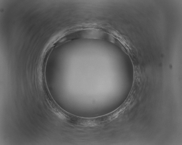 X0000051250293200506171143