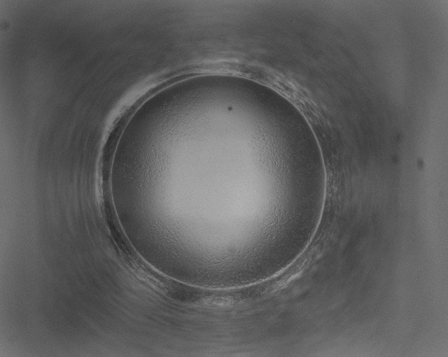 X0000051250294200506171143