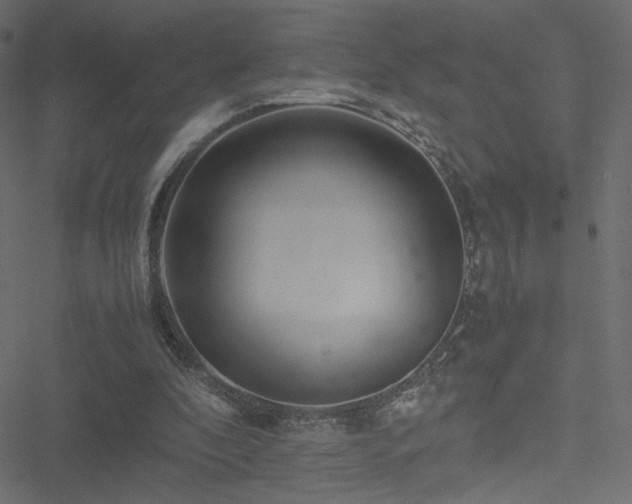 X0000051250296200506171142