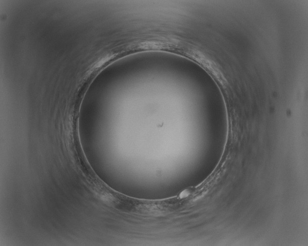 X0000051250297200506171142