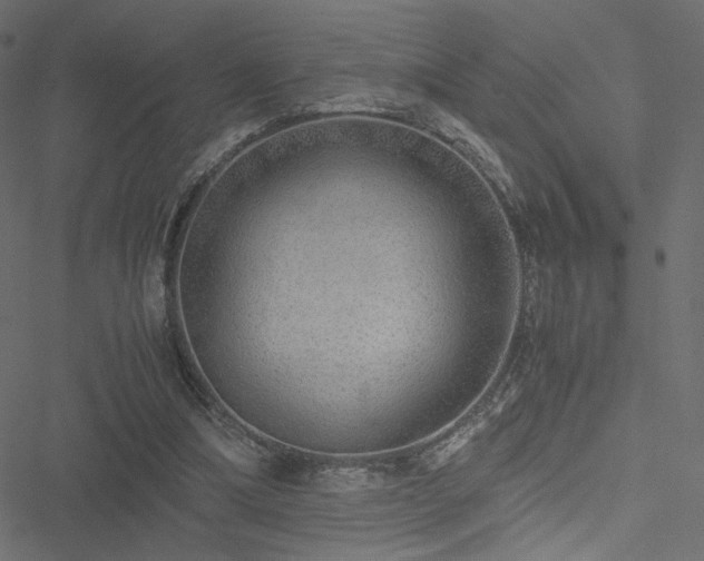 X0000051250298200506171142