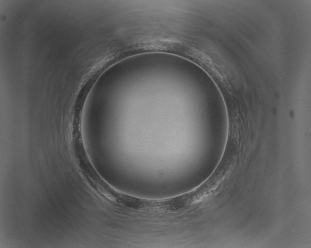 X0000051250299200506171142