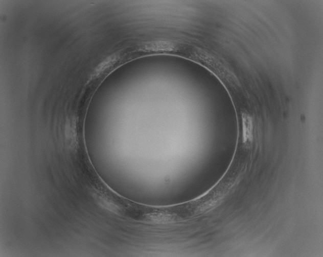 X0000051250300200506171142