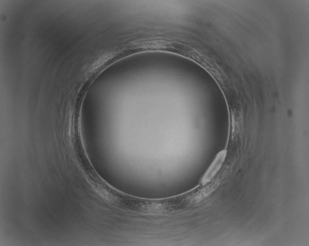 X0000051250301200506171142