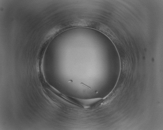 X0000051250302200506171142