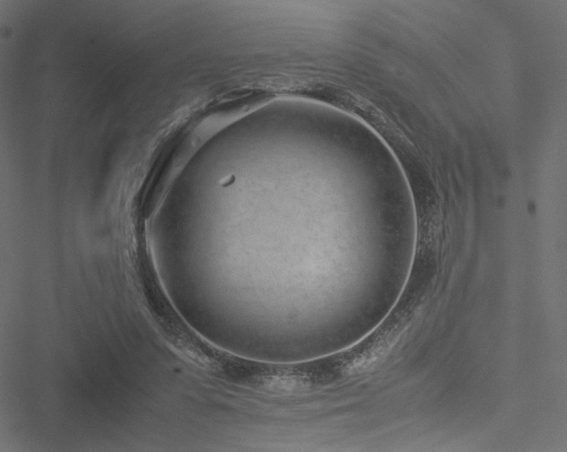 X0000051250303200506171142