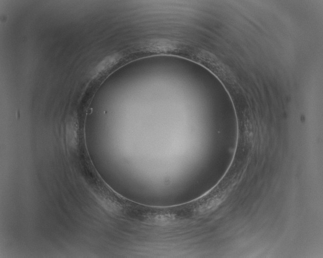 X0000051250304200506171142