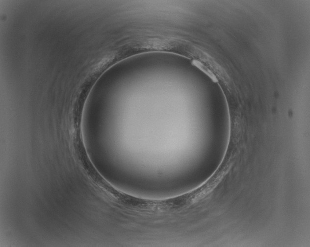 X0000051250305200506171142