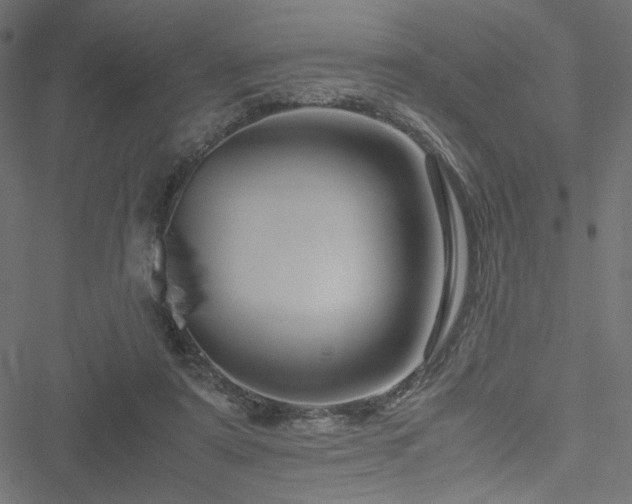 X0000051250307200506171142