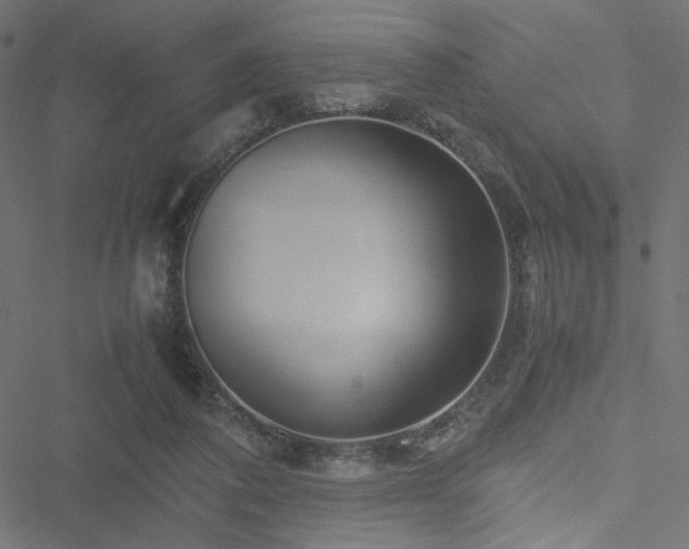 X0000051250308200506171142