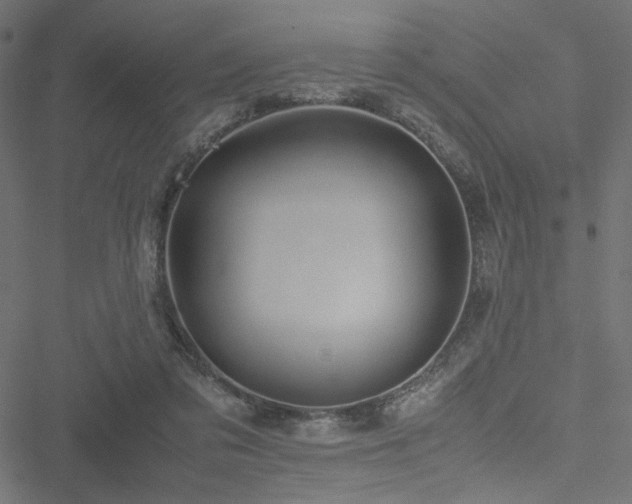 X0000051250309200506171142