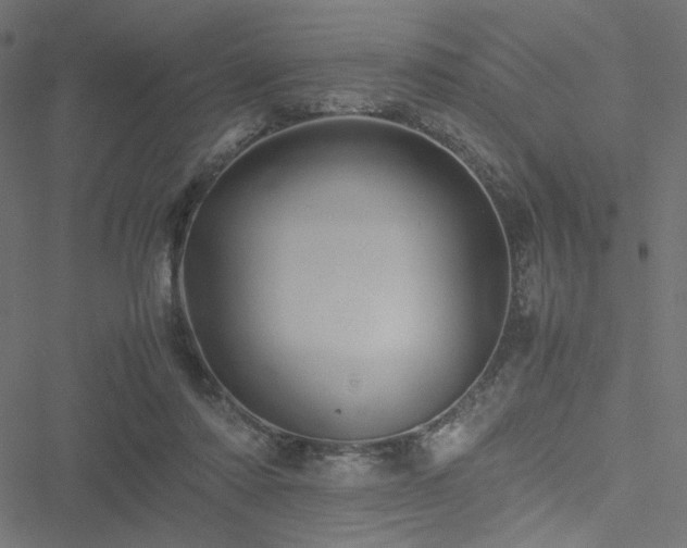 X0000051250310200506171142