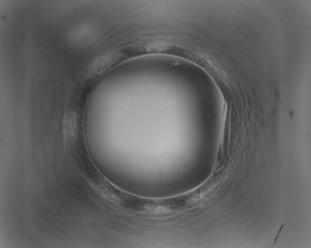 X0000051250311200506171142