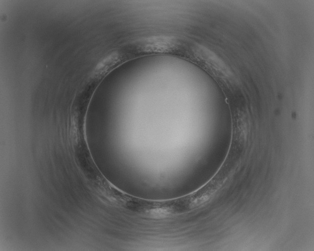 X0000051250312200506171142