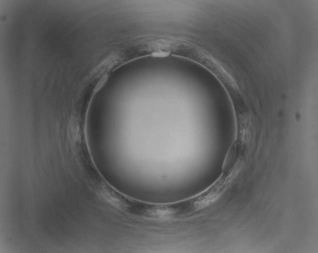 X0000051250313200506171142