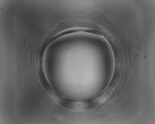 X0000051250315200506171142