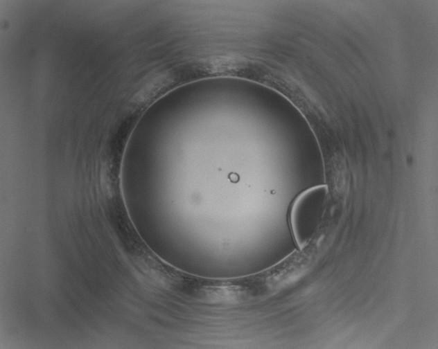 X0000051250316200506171142