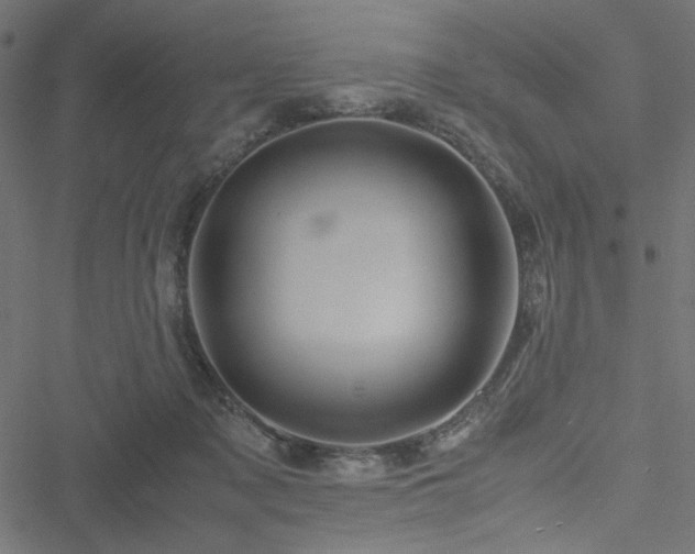 X0000051250317200506171142