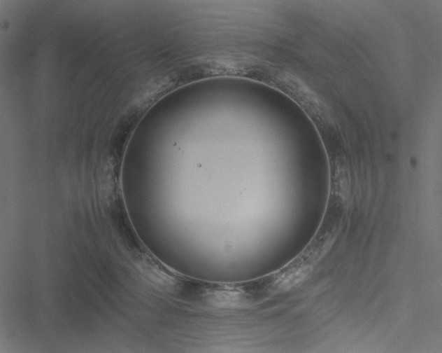 X0000051250318200506171142