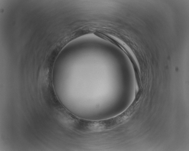 X0000051250319200506171142