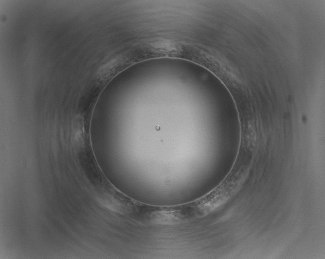 X0000051250320200506171142