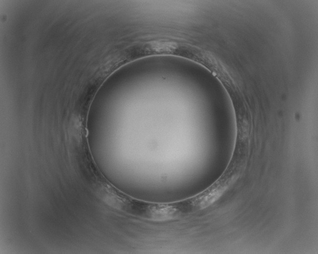 X0000051250321200506171142