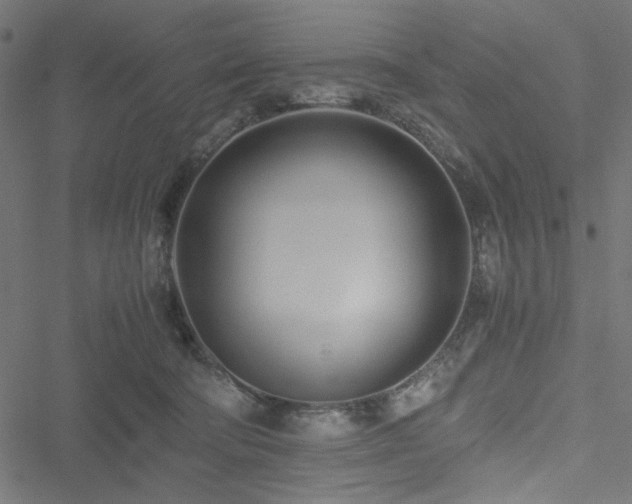 X0000051250322200506171142