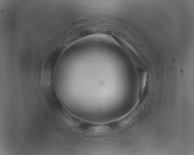 X0000051250323200506171142